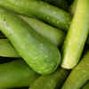 Article image for: <i class="tbold">bottle gourd</i> (Lauki)