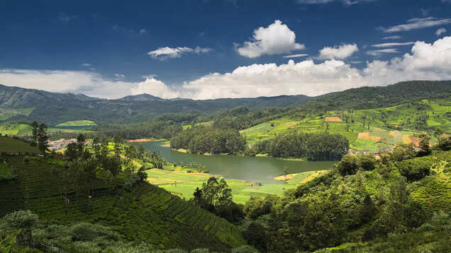Ooty: A serene haven amid the Nilgiri Hills