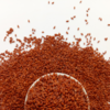 ​Aliv seeds​