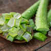 ​Aloe vera