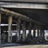 Investigation and Legal Action