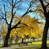 Seasonal transitions