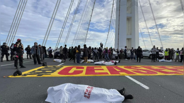 Call for cease-fire echoes