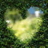 ​Healing and Forgiveness