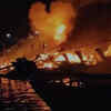 Extent of Damage