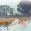 Delhi-NCR Air Pollution News Live Updates: NGT orders authorities to ...