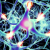 ​​Diabetes and its effect on nerves​