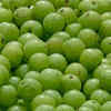 Article image for: Amla (<i class="tbold">indian gooseberry</i>)
