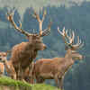 ​Urgent call to action