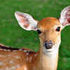 ​Prevention measures for hunters