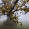 Kashmir Weather: Gulmarg Reaches 0.4°C