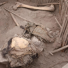 Adult remains found