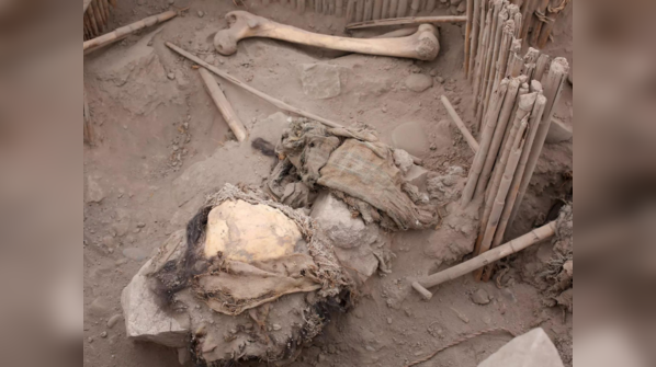 Adult remains found