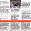 Uttarakhand Tunnel Crash News: Highs and lows during rescue operation