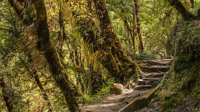 Natural wonders of Sikkim&rsquo;s Kanchenjunga National Park