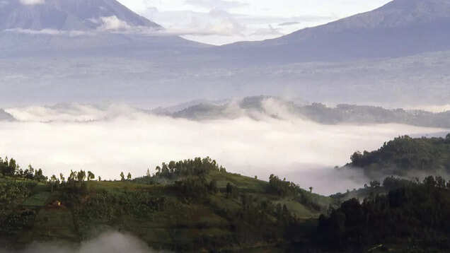 Rwanda: Into the world of mountain gorillas at Volcanoes National Park