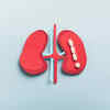 ​Understanding creatinine levels