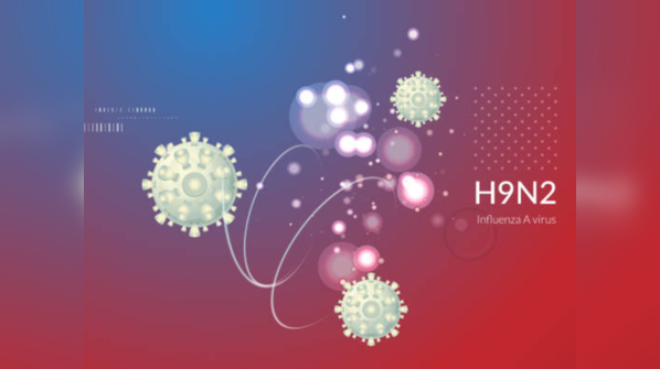 How to prevent the transmission of the virus?