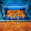 ​​What is ultra processed food?​