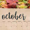 Article image for: <i class="tbold">october</i> 2024