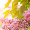 Article image for: April <i class="tbold">2024</i>