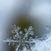 Article image for: To <i class="tbold">new beginning</i>s