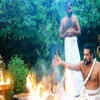 Article image for: <i class="tbold">purification</i>