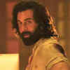 Article image for: ‘Animal’ Public Review: Ranbir Kapoor impresses movie buffs with his <i class="tbold">powerful performance</i>