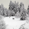 ​Fresh snowfall stuns people with captivating views​