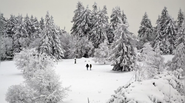 Fresh snowfall stuns people with captivating views