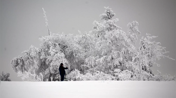 Around 320 flights were cancelled