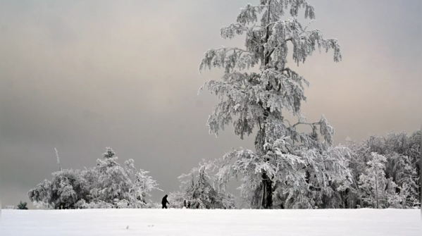Germany receives fresh spell of snowfall