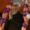 Article image for: Bharatiya janata's party