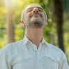 ​It purifies the air