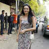Article image for: <i class="tbold">anchal kumar</i>