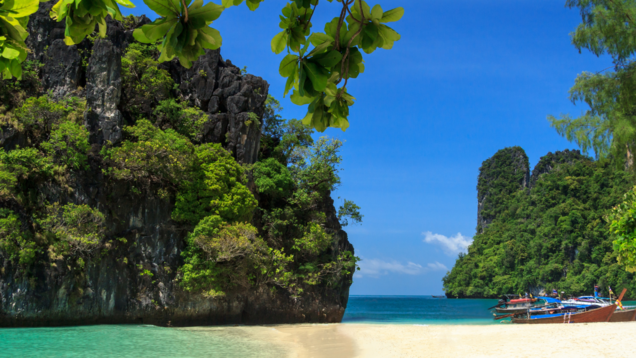 Andaman to open uninhabited Aves Island for travellers to boost tourism