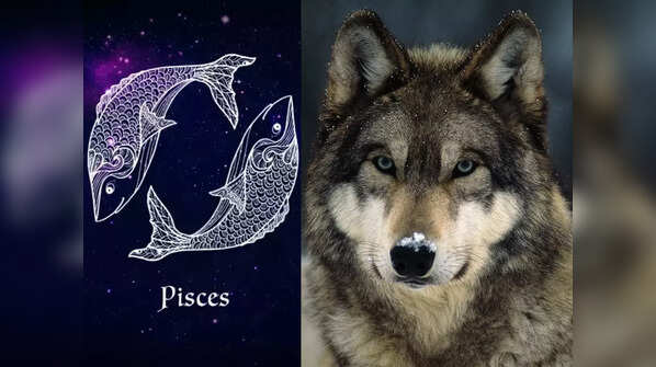 Pisces: Wolf