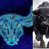​​Taurus: Bull​