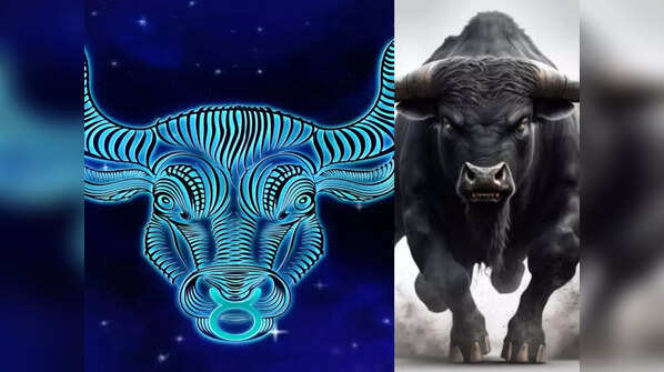 Taurus: Bull