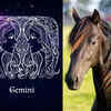 ​​Gemini: Horse