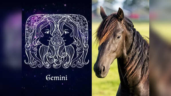 Gemini: Horse