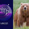 ​​Virgo: Bear