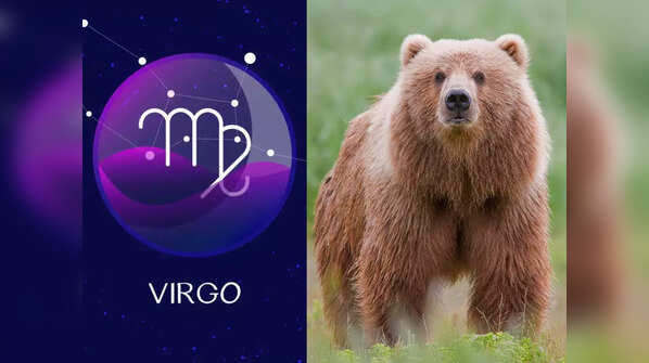 Virgo: Bear