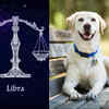 ​​Libra: Dog