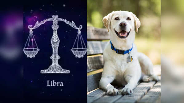 Libra: Dog