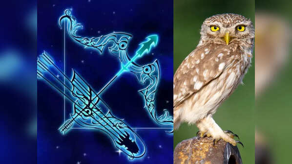 Sagittarius: Owl