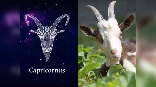Capricorn: Fish or Goat
