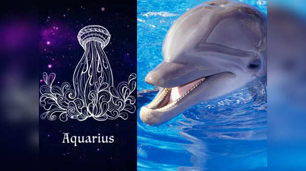 Aquarius: Dolphin