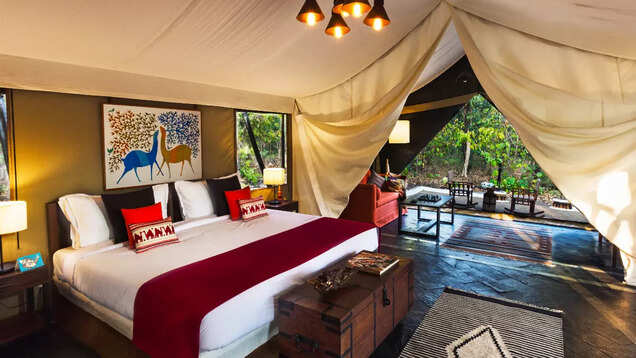 Call of the wild: 8 forest resorts in India for that unforgettable jungle experience