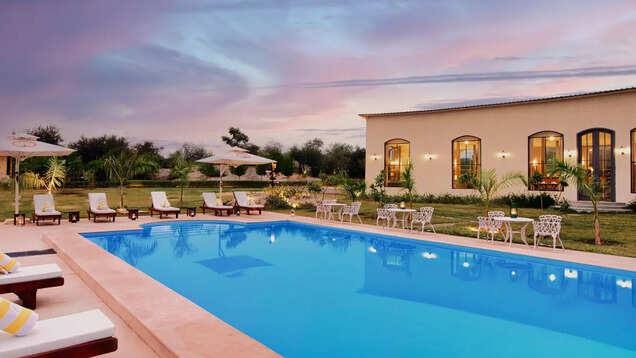 Call of the wild: 8 forest resorts in India for that unforgettable jungle experience